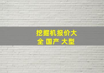 挖掘机报价大全 国产 大型